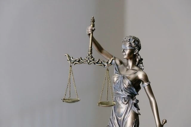 Abogados Especialistas en Recursos ante el Tribunal Constitucional