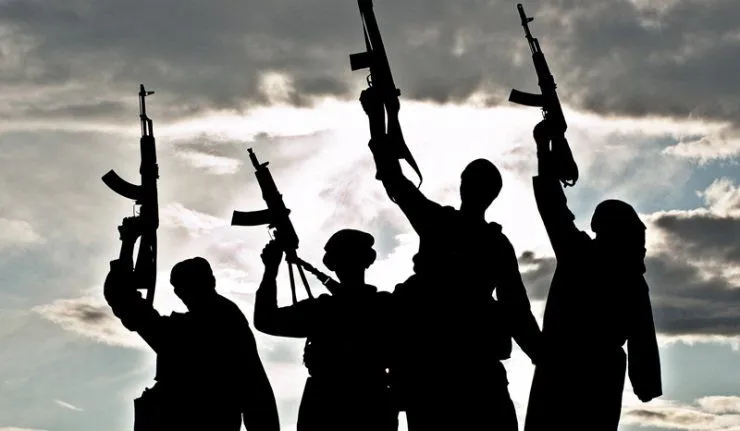 fight against the dissemination of terrorist propaganda